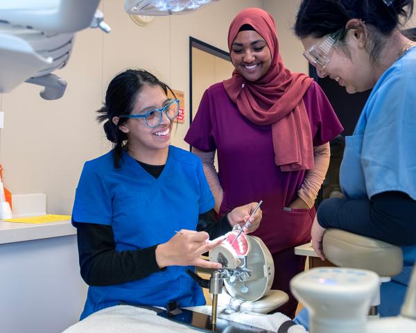 Nursing, Health Sciences and Wellness Nursing, Health Sciences and Wellness