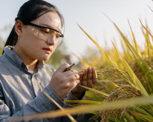 New Environmental Science A.S. Degree 