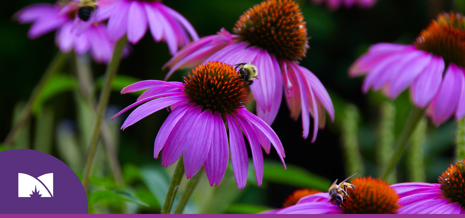 All College Meeting | Minneapolis Community & Technical College