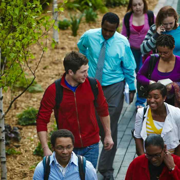 A group of students walking a path on campus