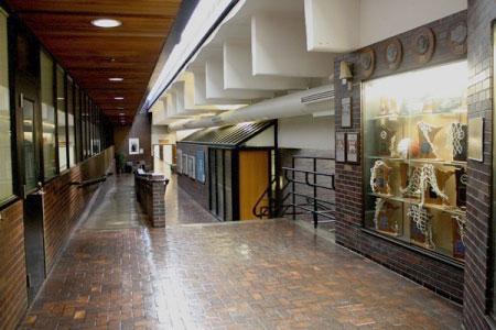 Hallway Scene in Bowman Hall