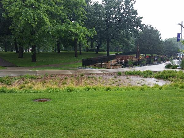 Rain Garden Example at Minneapolis College