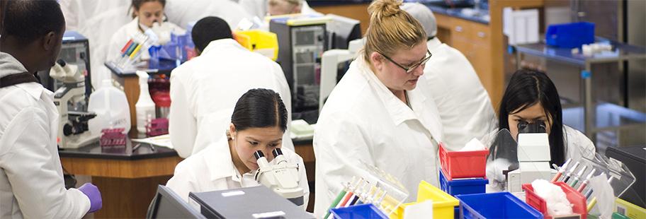 instructor with students in a biology lab