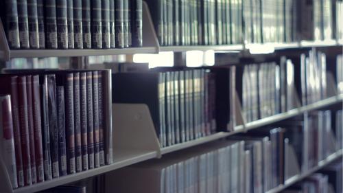 Shelf of Books