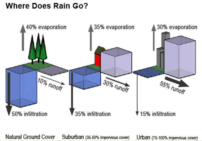 Where Does the Rain Go Diagram Where Does the Rain Go Diagram