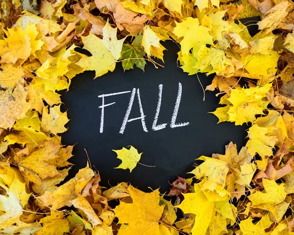 Announcing Fall Spirit Day