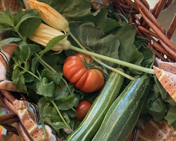 Urban Farm Collective
