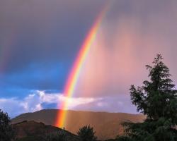 From Recovery to Leadership