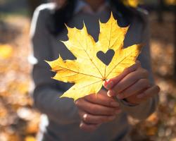 Supporting Students in Need