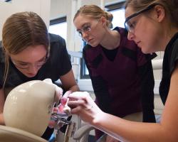 Students in the Dental Assistant Program at Minneapolis College students working on dental model