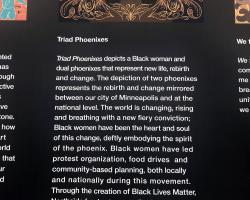 Triad Phoenixes explanation