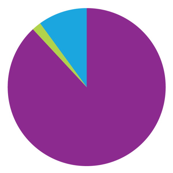 Pie chart representing the expenses of the Foundation at Minneapolis College 