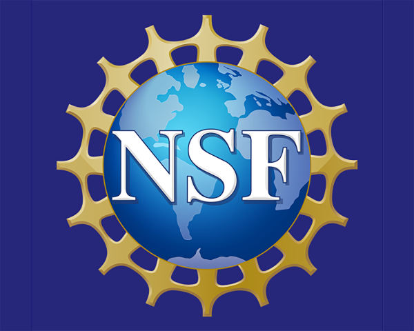 National Science Foundation logo