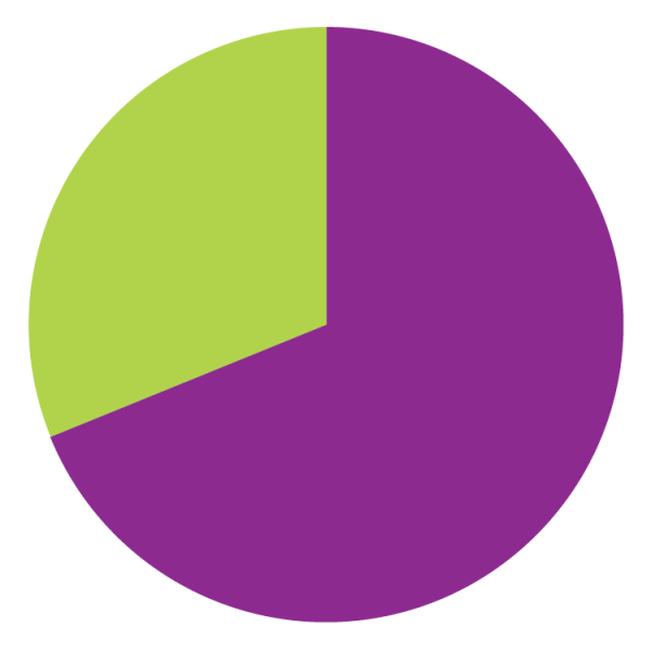 Pie chart representing the revenue of the Foundation at Minneapolis College 