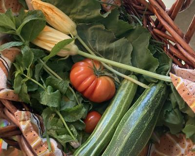 Urban Farm Collective