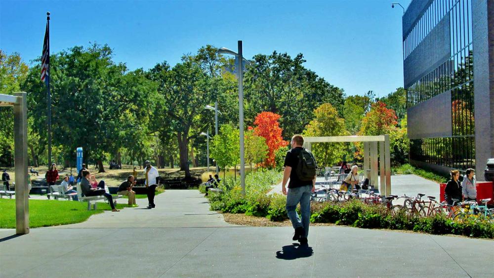 Minneapolis College's Outdoor Plaza Next to Loring Park student walking across the outdoor plaza next to Loring Park